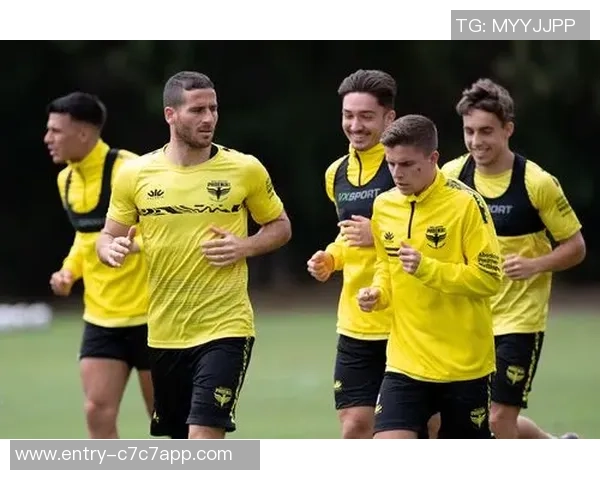 中央海岸与惠灵顿实力分析及对比探讨 中央海岸与惠灵顿实力分析及对比探讨